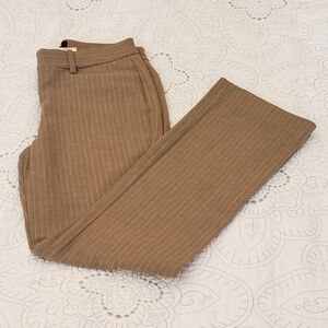 Express Columnist Barely Boot Dress Pants